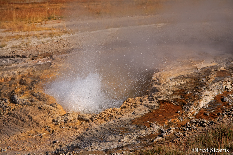 Yellowstone NP Upper Geyser Basin