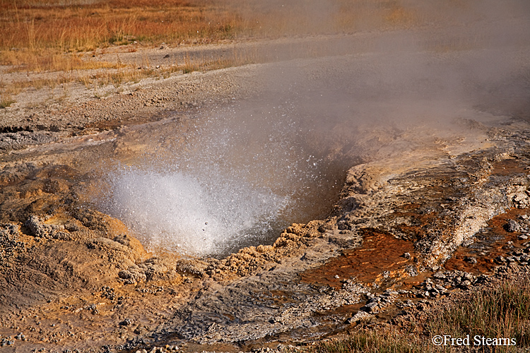 Yellowstone NP Upper Geyser Basin