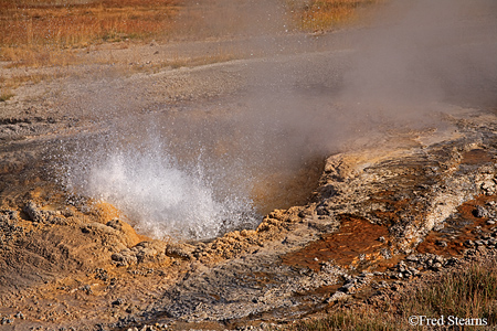 Yellowstone NP Aurum Geyser Eruption