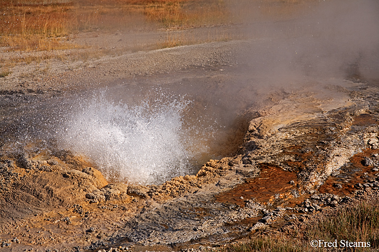 Yellowstone NP Upper Geyser Basin