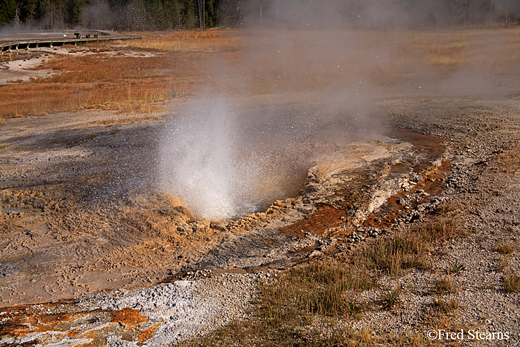 Yellowstone NP Upper Geyser Basin