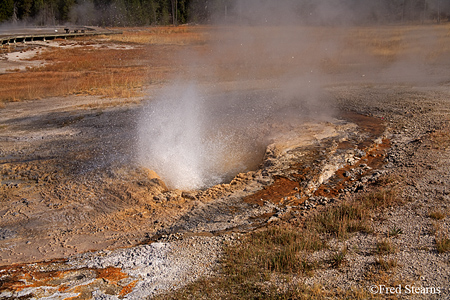 Yellowstone NP Aurum Geyser Eruption