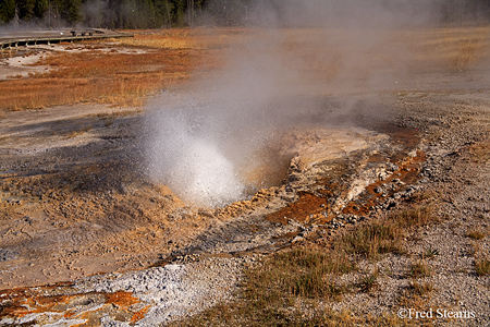 Yellowstone NP Aurum Geyser Eruption