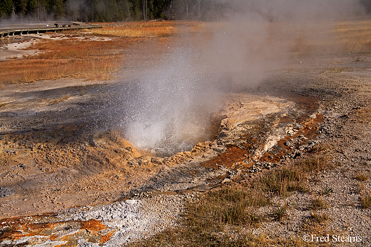 Yellowstone NP Upper Geyser Basin