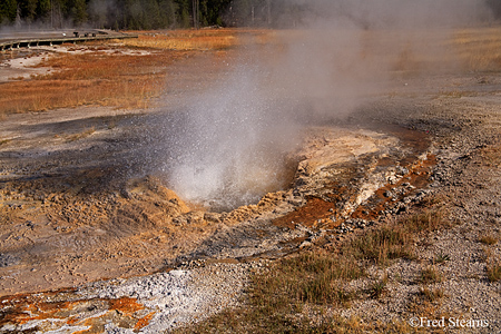 Yellowstone NP Aurum Geyser Eruption