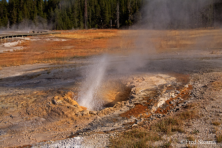 Yellowstone NP Aurum Geyser Eruption