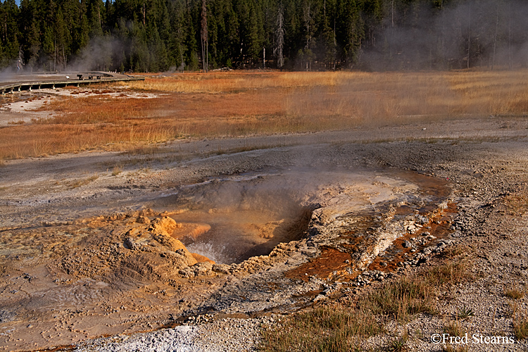 Yellowstone NP Upper Geyser Basin