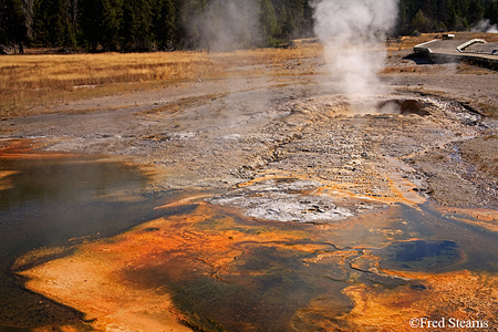 Yellowstone NP Aurum Geyser Eruption