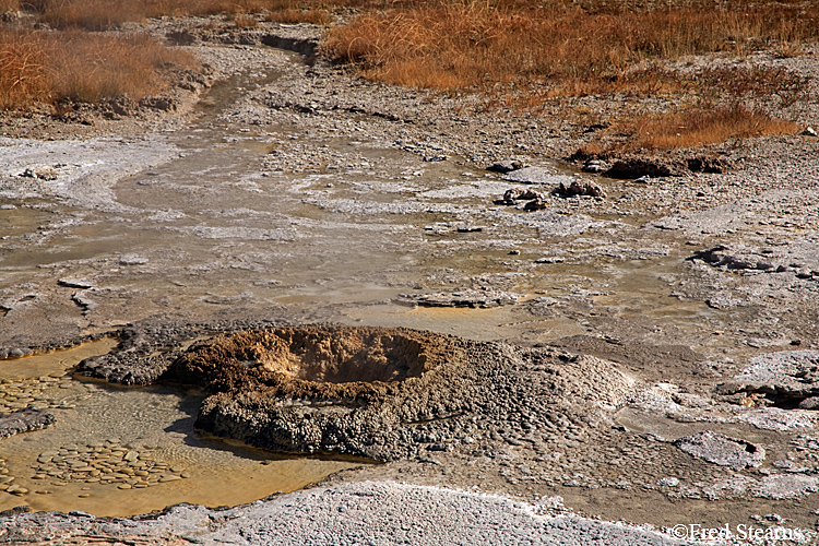 Yellowstone NP Upper Geyser Basin