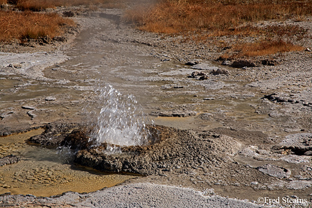 Yellowstone NP Upper Geyser Basin