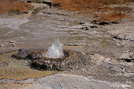 Yellowstone NP Upper Geyser Basin