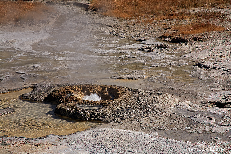 Yellowstone NP Upper Geyser Basin