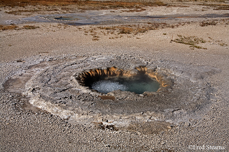 Yellowstone NP Upper Geyser Basin