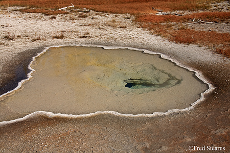 Yellowstone NP Upper Geyser Basin