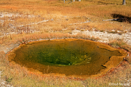 Yellowstone NP Upper Geyser Basin