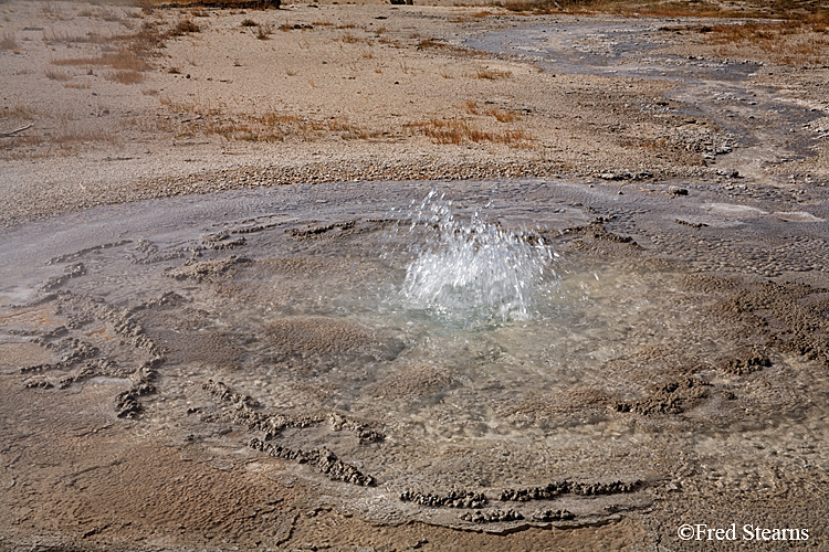 Yellowstone NP Upper Geyser Basin