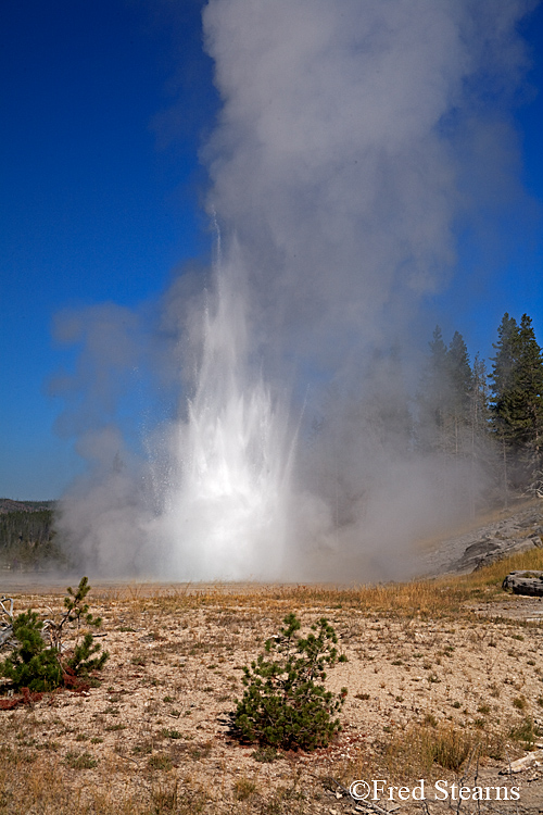 Yellowstone NP Upper Geyser Basin