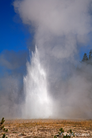 Yellowstone NP Upper Geyser Basin