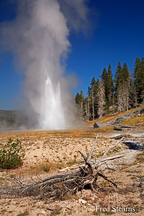 Yellowstone NP Upper Geyser Basin