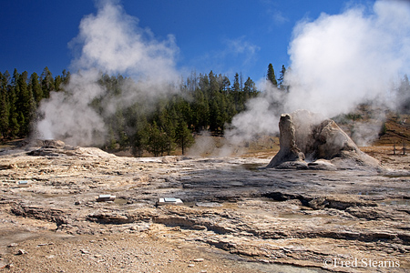 Yellowstone NP Upper Geyser Basin