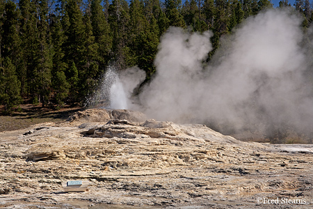 Yellowstone NP Upper Geyser Basin