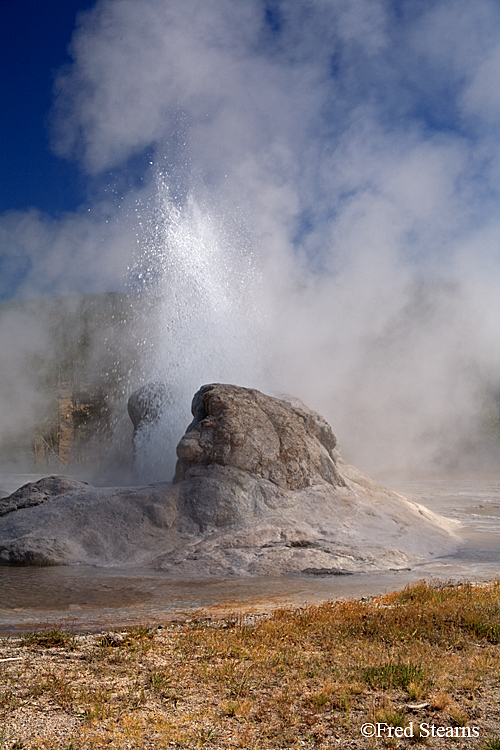 Yellowstone NP Upper Geyser Basin