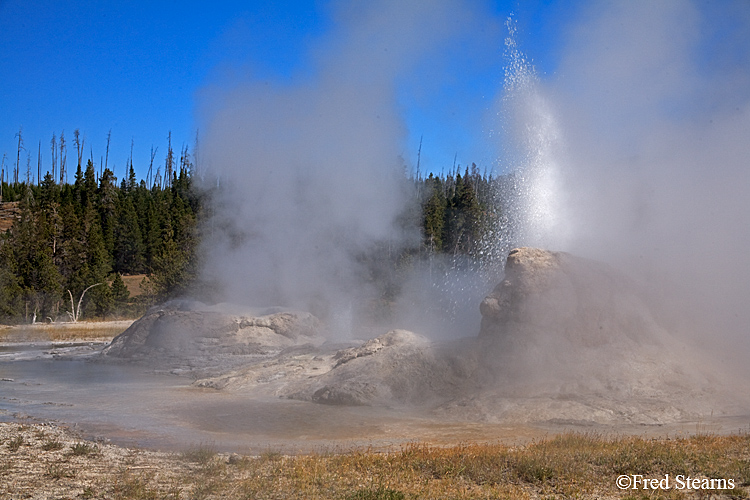 Yellowstone NP Upper Geyser Basin