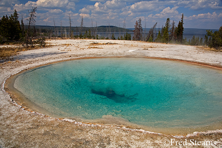 Grand Tetons NP Black Tail Pond