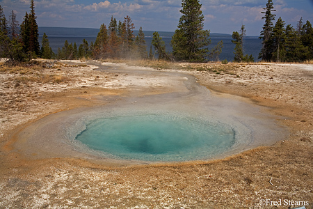 Grand Tetons NP Black Tail Pond