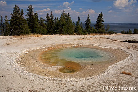 Grand Tetons NP Black Tail Pond