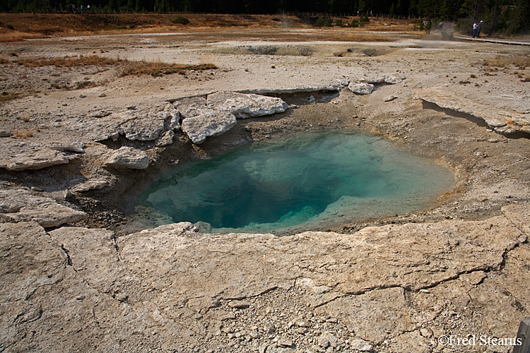 Yellowstone NP West Thumb Geyser Basin