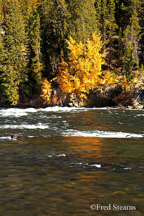 Yellowstone NP Yellowstone River