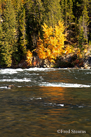 Grand Tetons NP Black Tail Pond