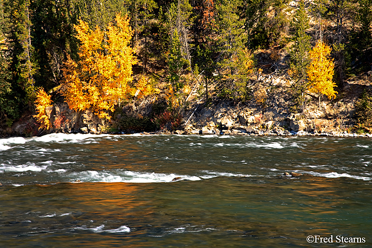 Yellowstone NP Yellowstone River