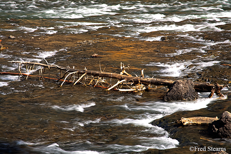 Yellowstone NP Yellowstone River