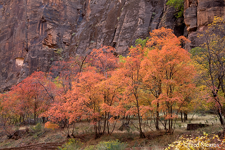 Zion National Park, Angels Landing