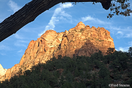 Zion National Park Canyon Junction Streaked Wall