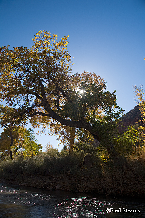 Zion National Park, Canyon Junction