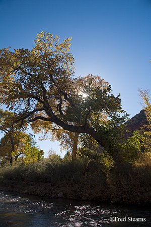 Zion National Park Canyon Junction Sunstar in Cottonwood