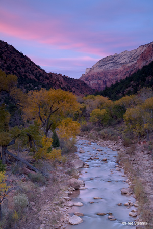 Zion National Park Canyon Junction