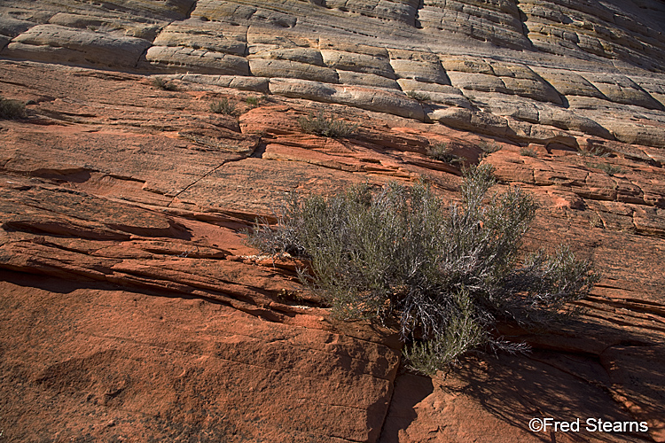 Zion National Park, Checkerboard Mesa