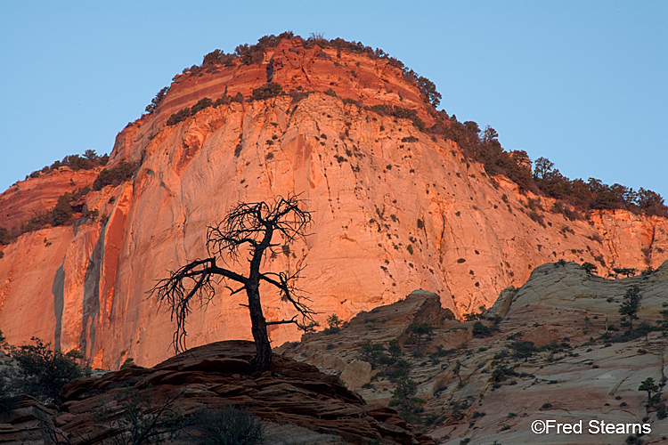 Zion National Park, Bridge Mountain