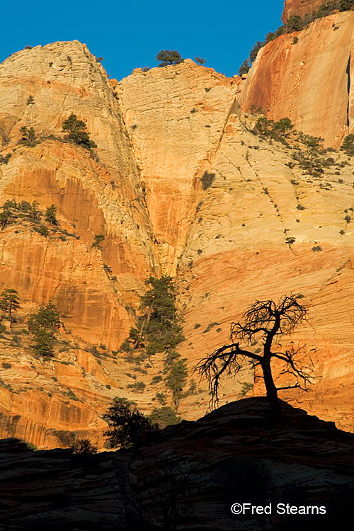 Zion National Park, Bridge Mountain