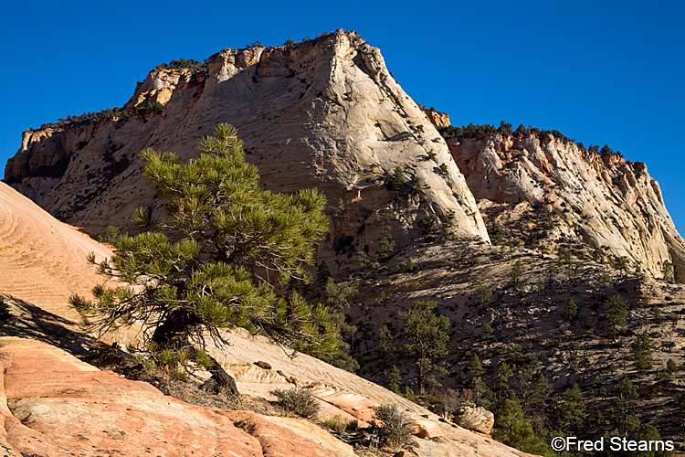 Zion National Park, Hoodoos