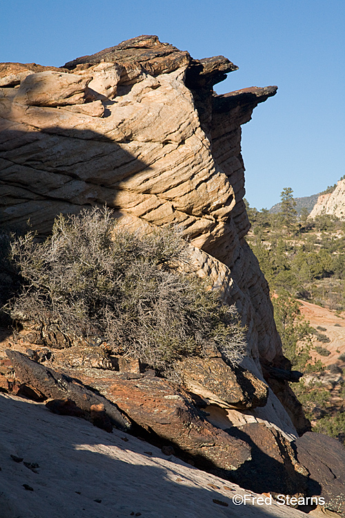 Zion National Park, Hoodoos