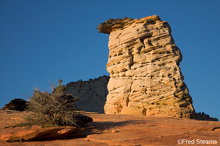 Zion National Park, Hoodoos