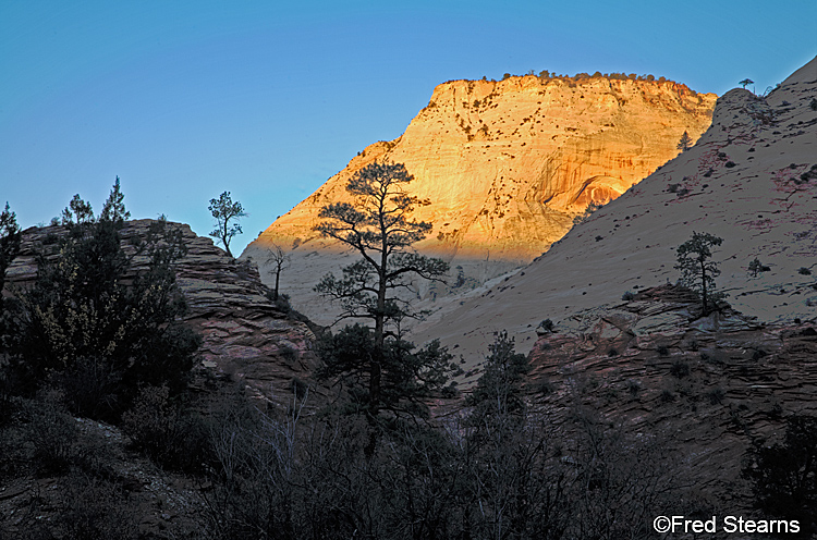 Zion National Park, Various