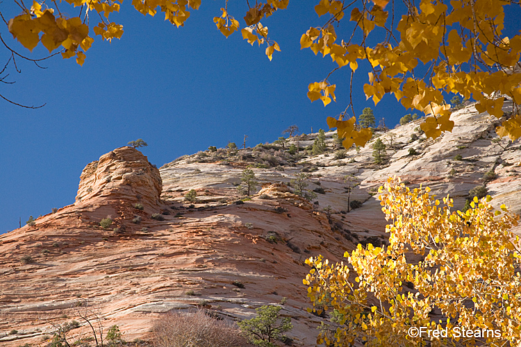 Zion National Park, Various