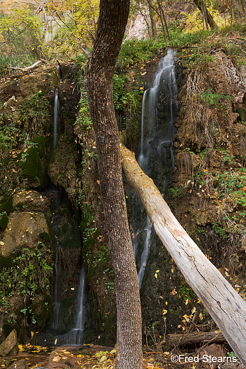 Zion National Park, Various