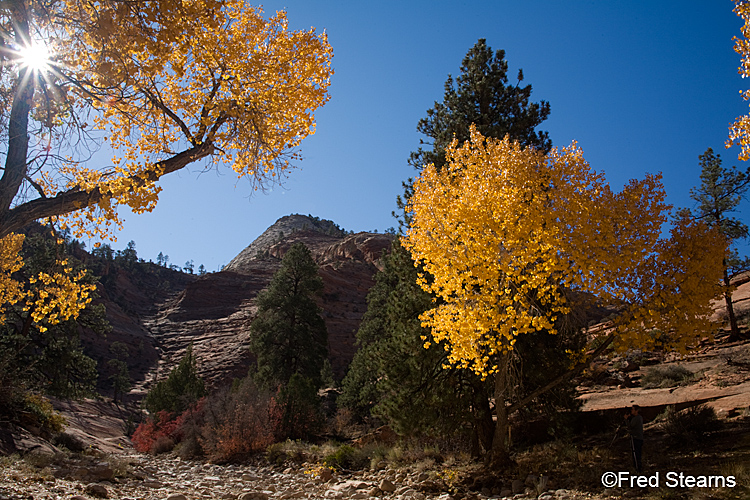 Zion National Park, Various